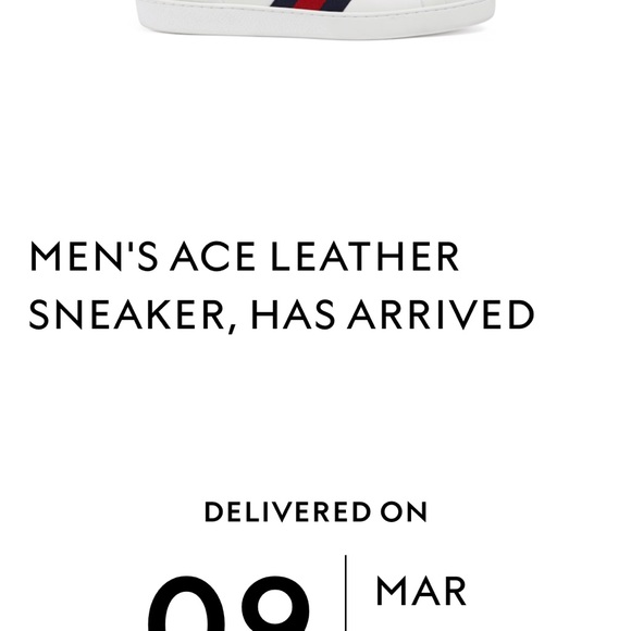 Gucci sneakers size 8.5 with all original packaging - Picture 3 of 15